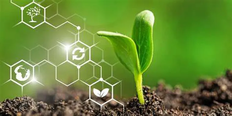 Plántula verde emergiendo del suelo fértil con gráficos digitales superpuestos que representan biotecnología y soluciones sustentables aplicadas a la agricultura.