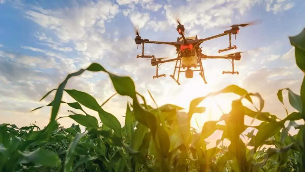Drone agrícola sobrevolando un cultivo verde al atardecer, aplicando tecnología de precisión en un campo productivo vinculado a la innovación agroindustrial presentada en Expo Osaka 2025.