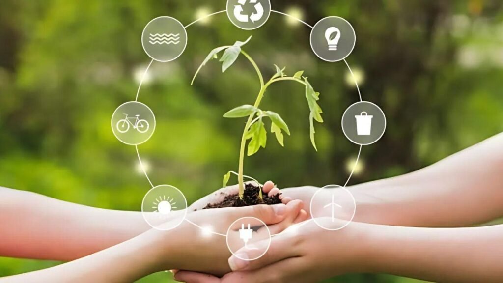 Cultivo emergente en suelo fértil que simboliza agricultura regenerativa y uso de bioinsumos como alternativa a insumos químicos tradicionales.