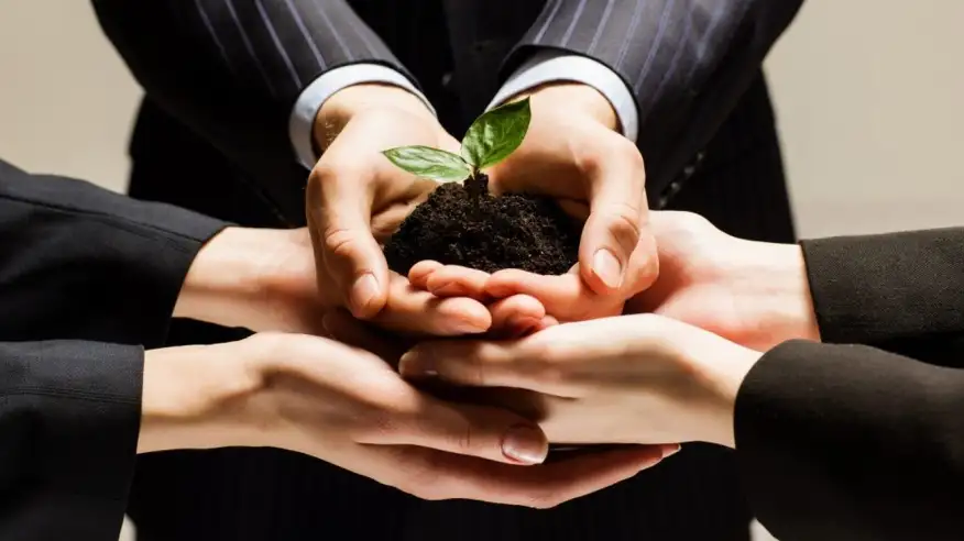 Manos de varias personas sostienen tierra fértil con una planta en crecimiento, simbolizando colaboración empresarial y sostenibilidad.